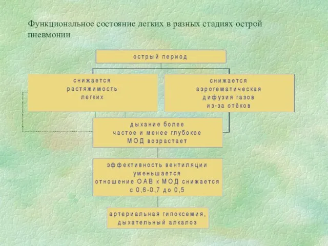 Функциональное состояние легких в разных стадиях острой пневмонии