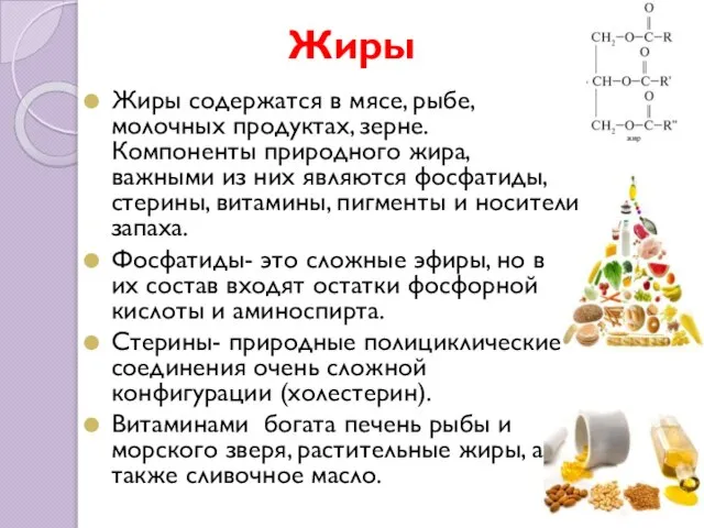 Жиры Жиры содержатся в мясе, рыбе, молочных продуктах, зерне. Компоненты природного жира,