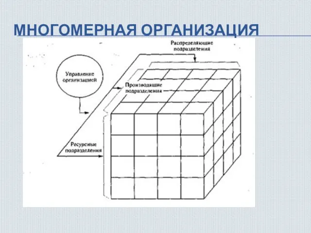 МНОГОМЕРНАЯ ОРГАНИЗАЦИЯ