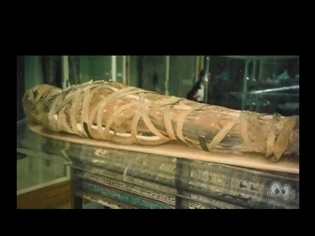 Мумия — специально сохранённое тело умершего.