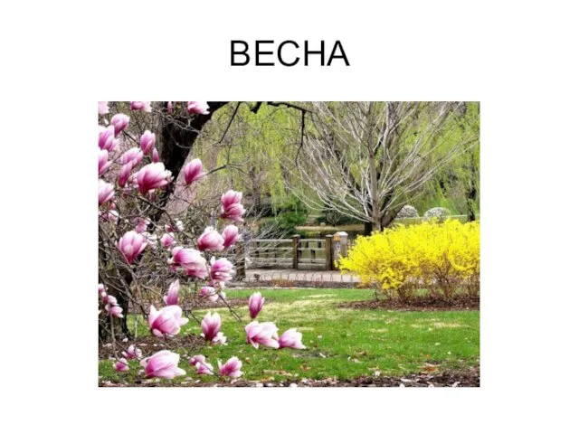 ВЕСНА