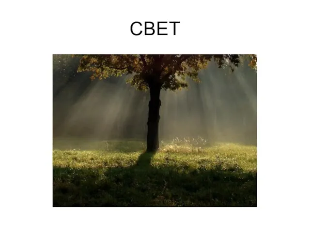 СВЕТ