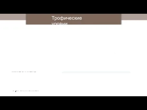 Трофические уровни Автотрофные организмы Травоядные животные Хищники