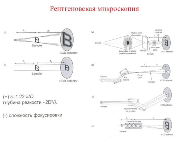 Рентгеновская микроскопия