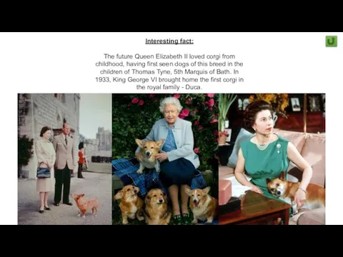 Interesting fact: The future Queen Elizabeth II loved corgi from childhood, having