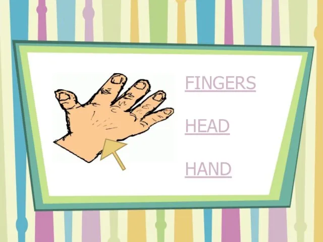 FINGERS HEAD HAND