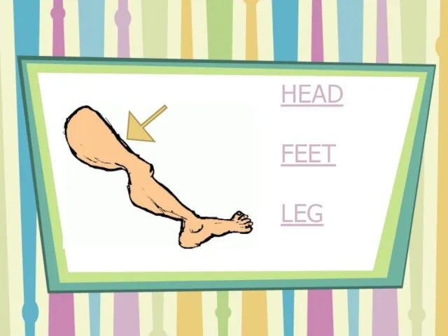 HEAD FEET LEG