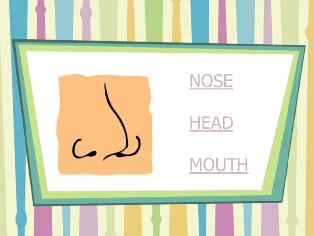NOSE HEAD MOUTH