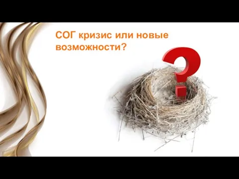 СОГ кризис или новые возможности?