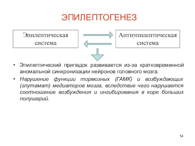 ЭПИЛЕПТОГЕНЕЗ Эпилептический припадок развивается из-за кратковременной аномальной синхронизации нейронов головного мозга. Нарушение