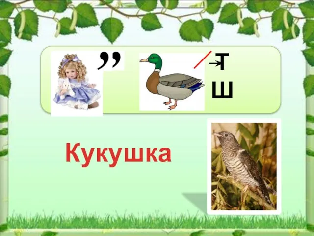 Кукушка Т Ш