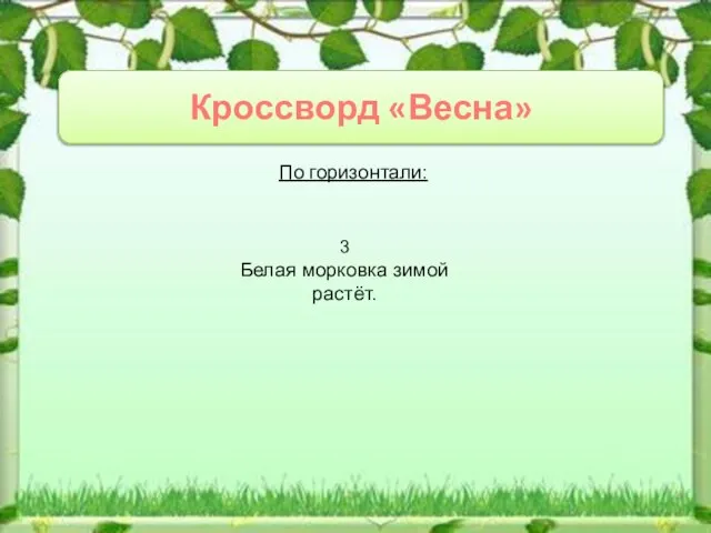 Кроссворд «Весна» По горизонтали: 3 Белая морковка зимой растёт.