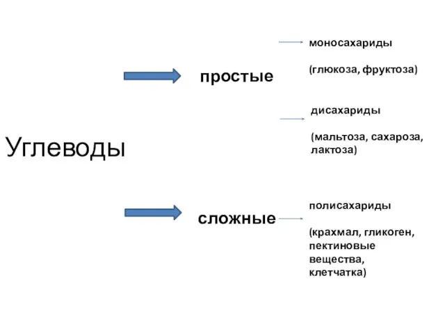 Углеводы простые сложные моносахариды (глюкоза, фруктоза) дисахариды (мальтоза, сахароза, лактоза) полисахариды (крахмал, гликоген, пектиновые вещества, клетчатка)