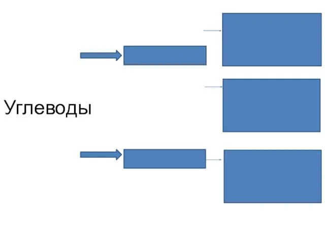 Углеводы простые сложные