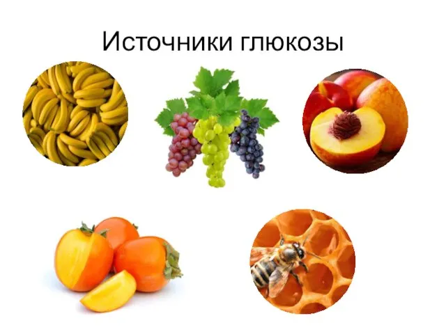 Источники глюкозы