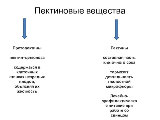 Пектиновые вещества Протопектины пектин+целюлоза содержатся в клеточных стенках незрелых плодов, объясняя их