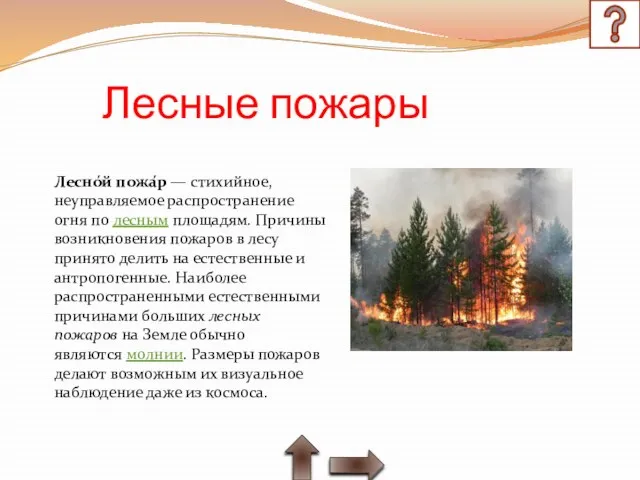 Лесные пожары Лесно́й пожа́р — стихийное, неуправляемое распространение огня по лесным площадям.