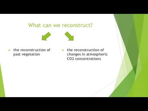What can we reconstruct? the reconstruction of past vegetation the reconstruction of