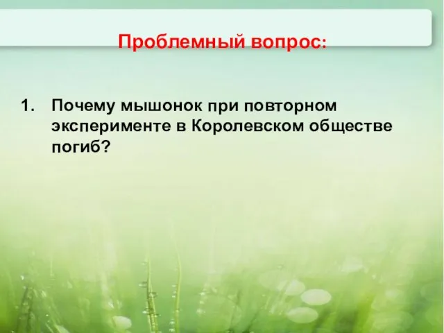 Проблемный вопрос: Почему мышонок при повторном эксперименте в Королевском обществе погиб?