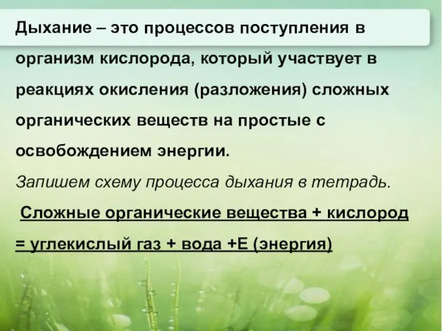 Дыхание – это процессов поступления в организм кислорода, который участвует в реакциях