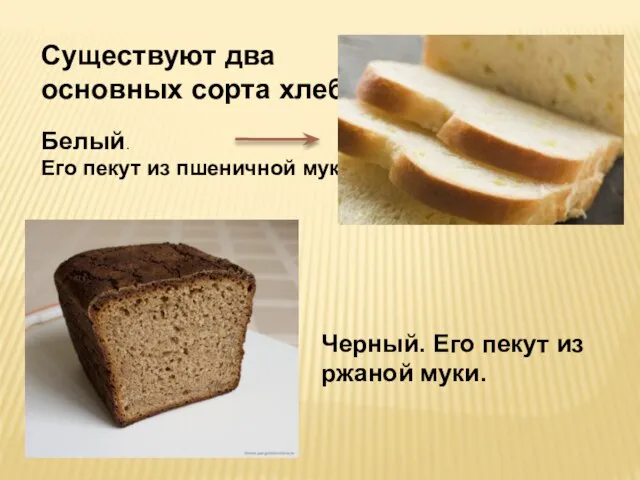 Существуют два основных сорта хлеба: Белый. Его пекут из пшеничной муки. Черный.
