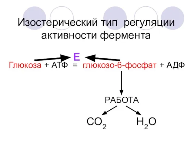 Глюкоза + АТФ = глюкозо-6-фосфат + АДФ Е Изостерический тип регуляции активности фермента РАБОТА СО2 Н2О