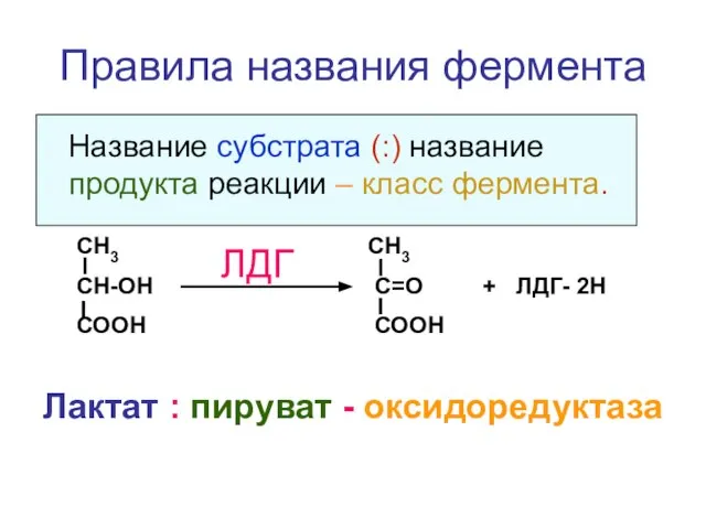 Правила названия фермента Название субстрата (:) название продукта реакции – класс фермента.