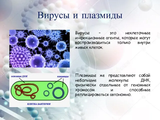 Вирусы и плазмиды Вирусы – это неклеточные инфекционные агенты, которые могут воспроизводиться