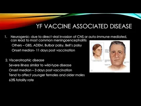 YF VACCINE ASSOCIATED DISEASE Neurogenic- due to direct viral invasion of CNS