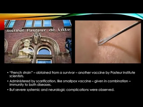 “French strain” – obtained from a survivor – another vaccine by Pasteur