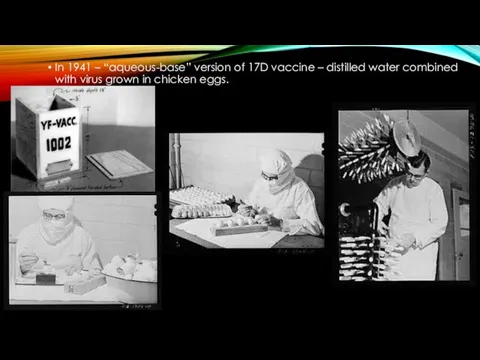 In 1941 – “aqueous-base” version of 17D vaccine – distilled water combined