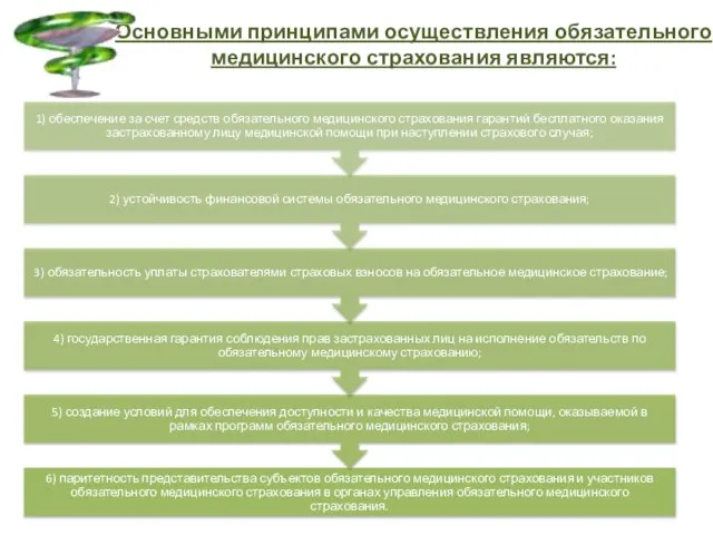 Основными принципами осуществления обязательного медицинского страхования являются: