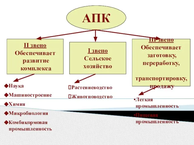 АПК I звено Сельское хозяйство III звено Обеспечивает заготовку, переработку, транспортировку, продажу