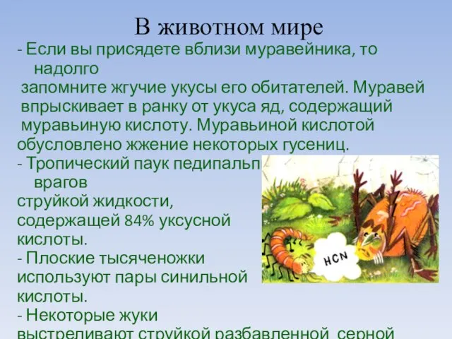 В животном мире - Если вы присядете вблизи муравейника, то надолго запомните