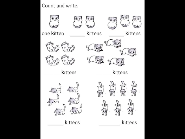 one kitten _____ kittens _____ kittens _____ kittens _____ kittens _____ kittens