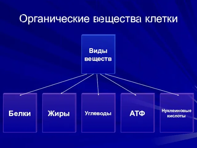 Органические вещества клетки