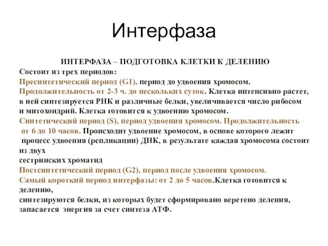 Интерфаза ИНТЕРФАЗА – ПОДГОТОВКА КЛЕТКИ К ДЕЛЕНИЮ Состоит из трех периодов: Пресинтетический