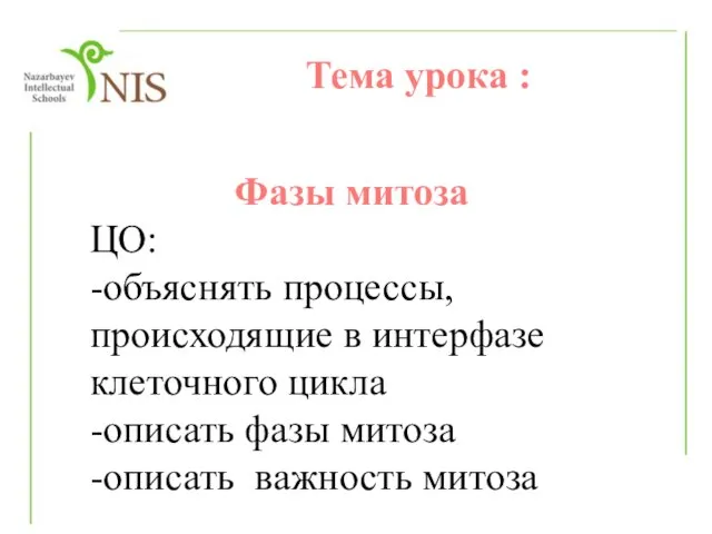 Тема урока : Фазы митоза ЦО: -объяснять процессы, происходящие в интерфазе клеточного