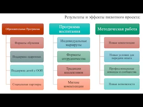 Результаты и эффекты пилотного проекта: