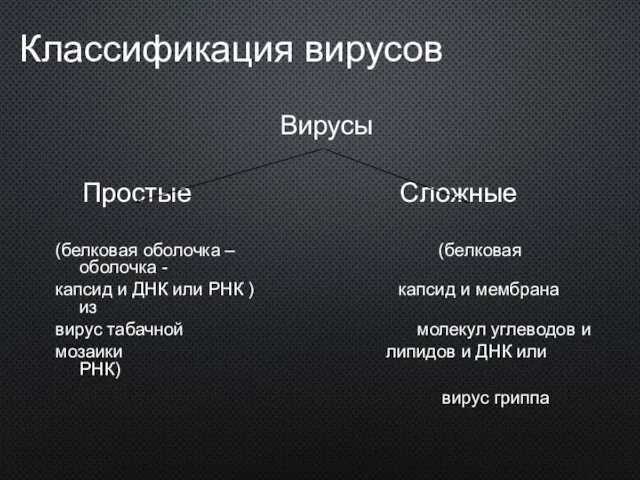 Классификация вирусов Вирусы Простые Сложные (белковая оболочка – (белковая оболочка - капсид