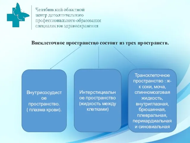 Внеклеточное пространство состоит из трех пространств. Внутрисосудистое пространство. ( плазма крови). Интерстициальное