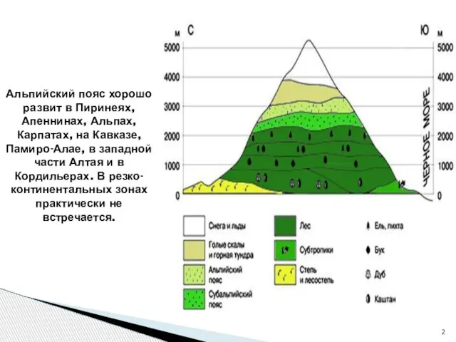 Альпийский пояс хорошо развит в Пиринеях, Апеннинах, Альпах, Карпатах, на Кавказе, Памиро-Алае,