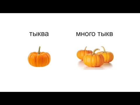 тыква много тыкв