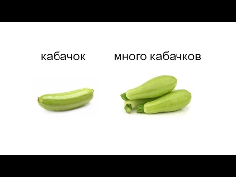 кабачок много кабачков