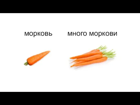 морковь много моркови