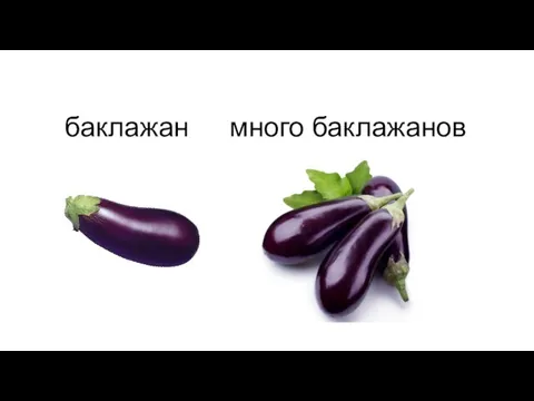 баклажан много баклажанов