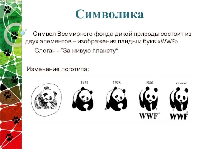 Символика Символ Всемирного фонда дикой природы состоит из двух элементов – изображения