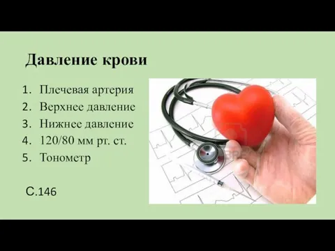 Давление крови Плечевая артерия Верхнее давление Нижнее давление 120/80 мм рт. ст. Тонометр С.146