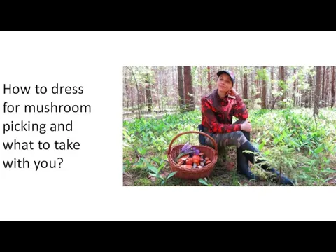 How to dress for mushroom picking and what to take with you?