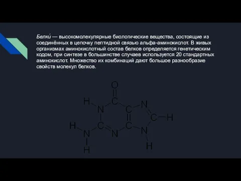 Белки́ — высокомолекулярные биологические вещества, состоящие из соединённых в цепочку пептидной связью